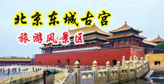 骚女喷水大叫跪舔视频中国北京-东城古宫旅游风景区